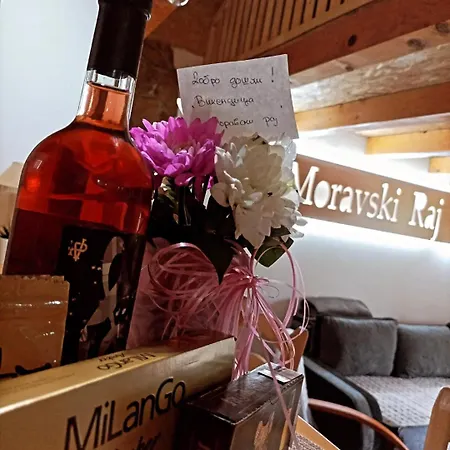 Vikendica Moravski Raj Appartamento
